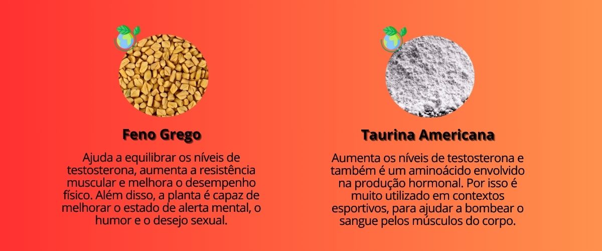 Banner contendo os componentes da fórmula do X PLUS estimulante sexual melhora a função erétil e promove bem-estar. 